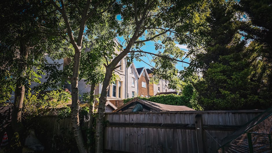 The image shows a residential area with multiple multi-storey houses visible through the branches and leaves of several trees in the foreground. In the lower part of the image, a weathered wooden fence runs horizontally, partially obscuring the view of the houses. Behind the fence, a small shed with a sloped roof and a dark plastic container on top is visible, surrounded by foliage. The scene appears to be outdoors during daytime with natural lighting illuminating the greenery and building facades. This setting suggests a typical East Sheen neighborhood where household items, boxes, or furniture might be being prepared for a home relocation or move, consistent with services provided by Man with Van East Sheen for house removals and furniture transport.